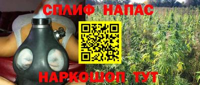 тгк Пугачёв