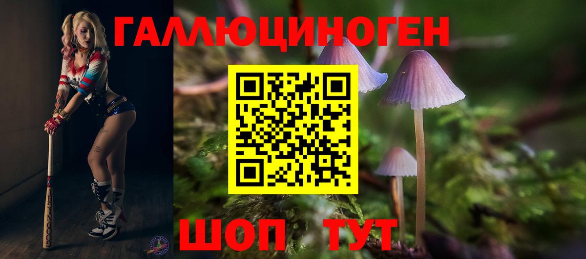 Галлюциногенные грибы Cubensis  Псилоцибиновые грибы мицелий  Глазов  Вход с VPN 